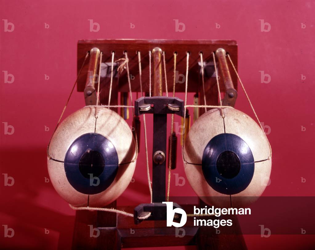 Model of eyes by Hermann von Helmholtz (photo)