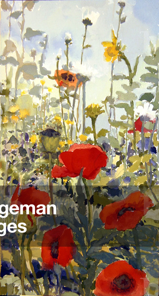 Garden Study, 1997 (bodycolour)