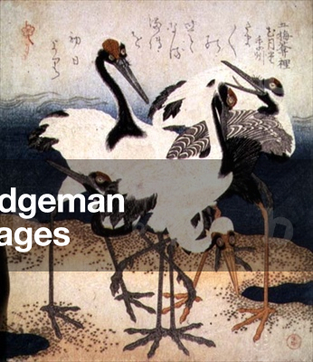 Five Cranes with White Feathers in Various Poses on a Spit of Sand, from Three Petals series, c.1816 (ink)