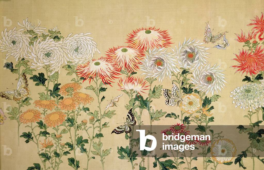 Chrysanthemums, (painting, hanging scroll)