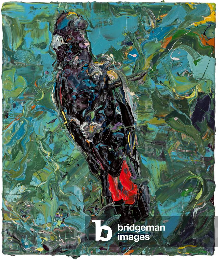 Black Parrot, 2011 (oil on canvas)