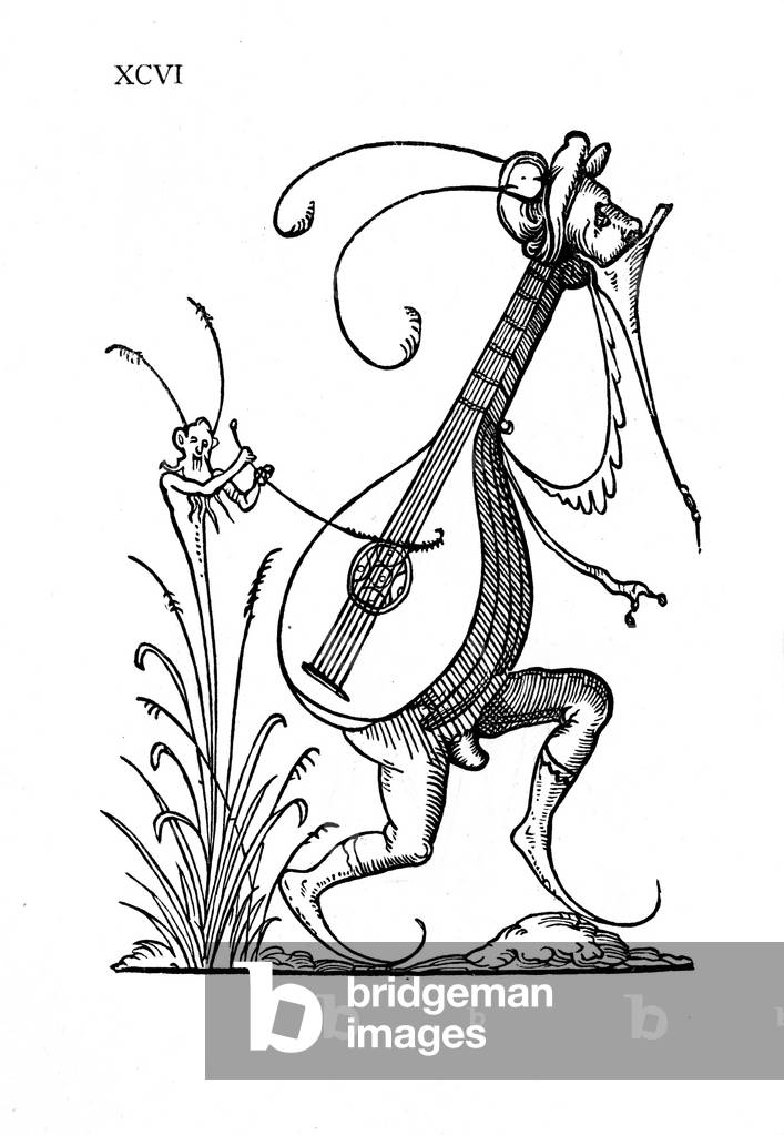 Lute shaped body, 1565 (engraving)
