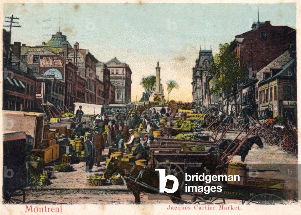Geography. Canada. Montreal, Jacques Cartier Market. Postcard, Canada, c.1904. (postcard)