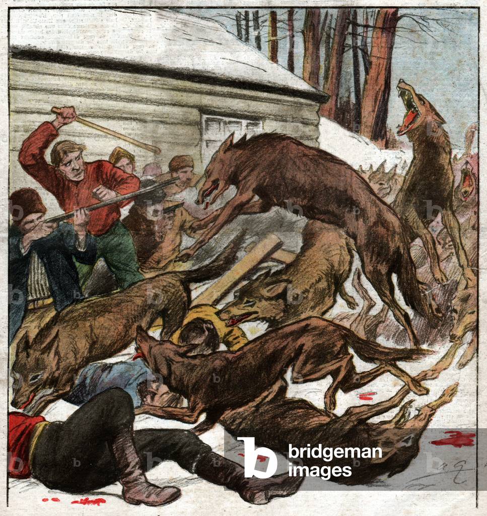 Wolves attack, 1922 (print)