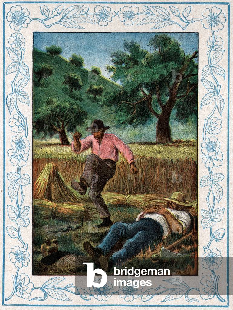 Viper bite. Viper's bite.