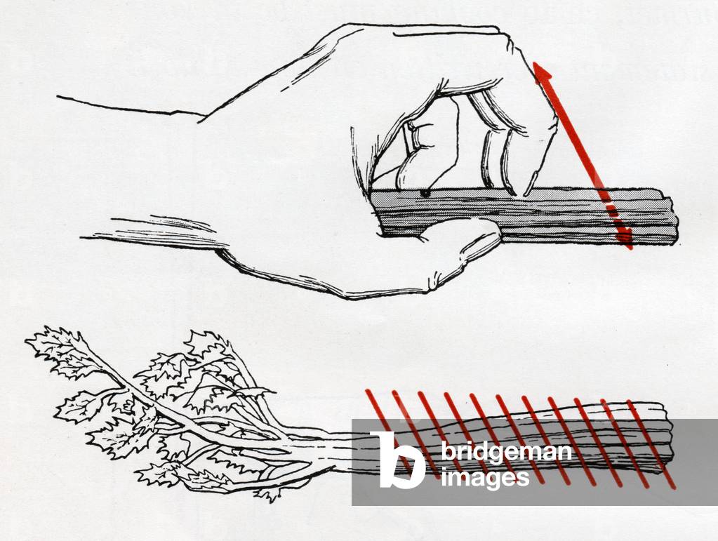 Decoupe d'un celeri. Slicing of a celery.