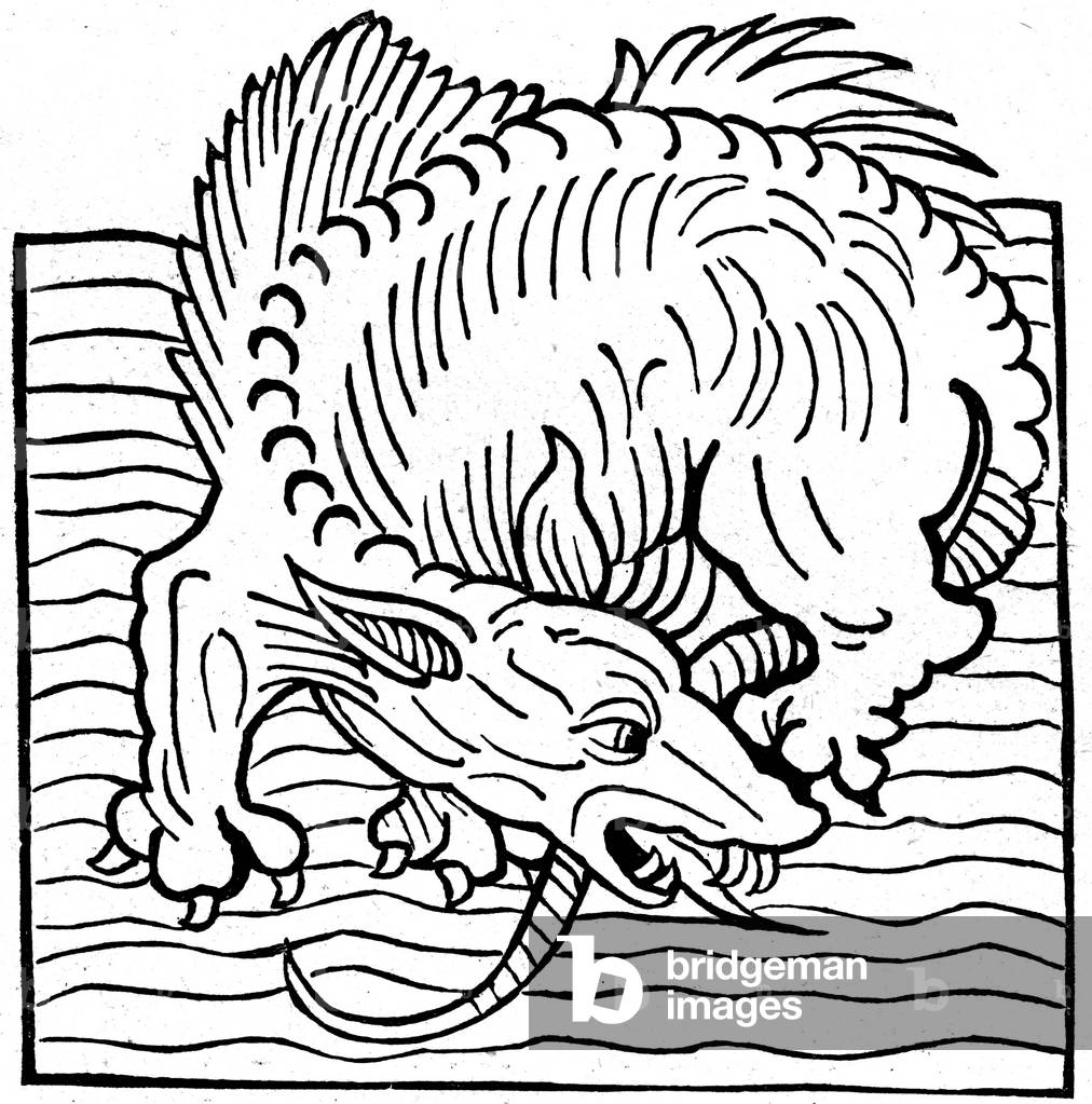 Dragon of the seas, 1491 (engraving)