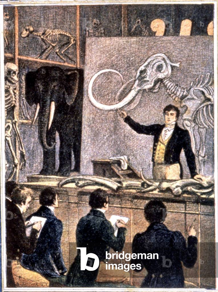 A course by Georges Cuvier, c.1900 (illustration)