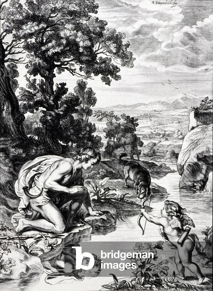 Mattei in Ovid's Metamorphoses, 1651 (print)