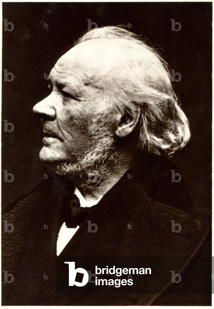 Art. The french caricaturist Honore Daumier, c.1870 (photo)