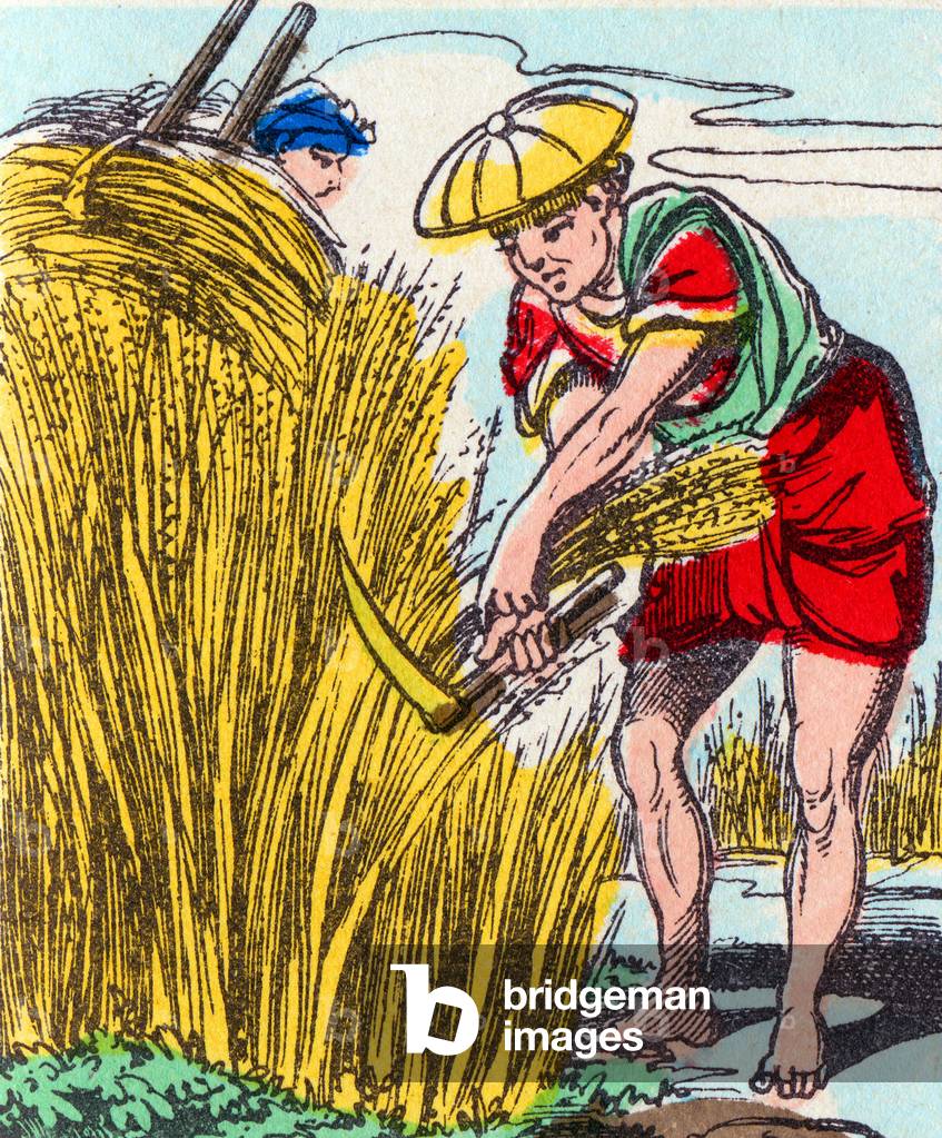 Recycling rice in China, c.1880 (print)