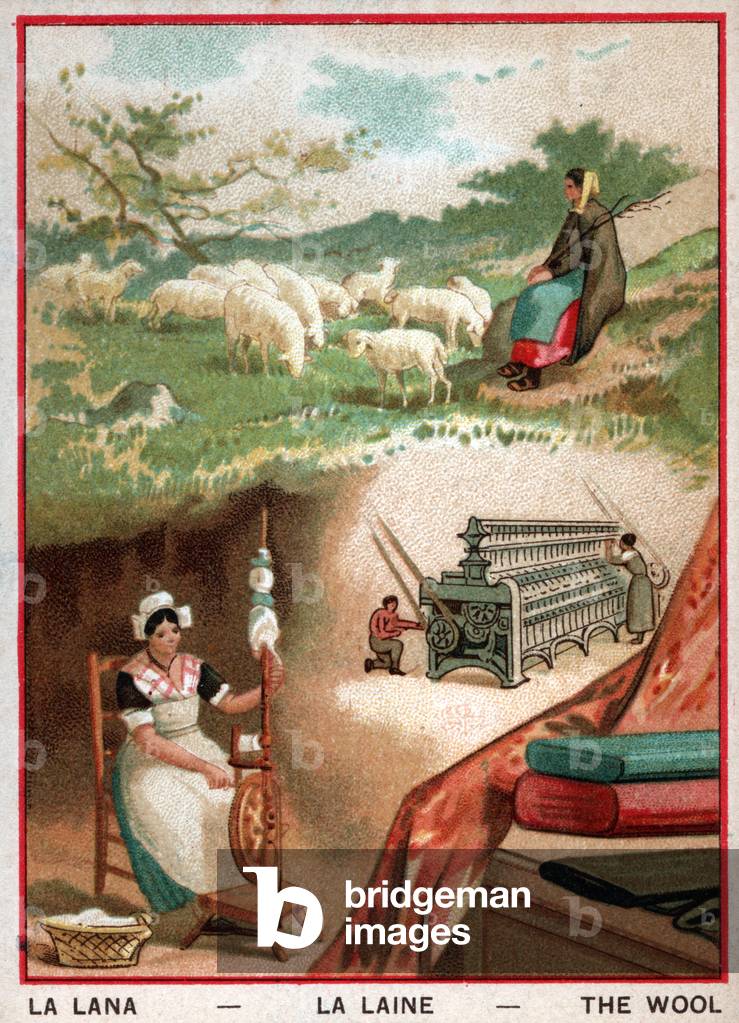 The wool, from the shepherd to the mill, c.1900 (chromo)