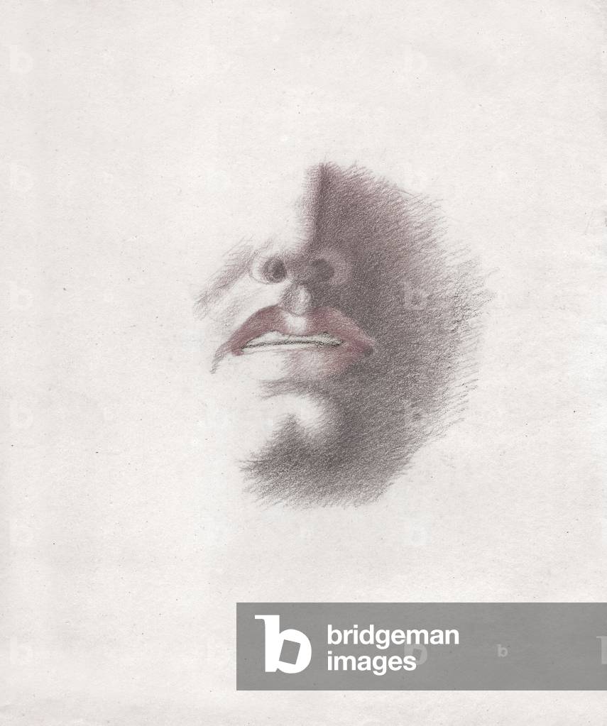 Face of a man. (drawing, circa 1830)