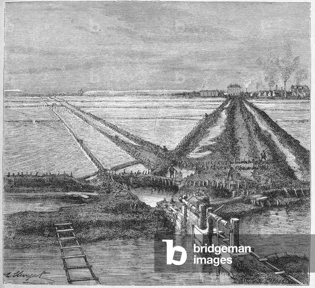 Saltern in south of France, c. 1880 (engraving)