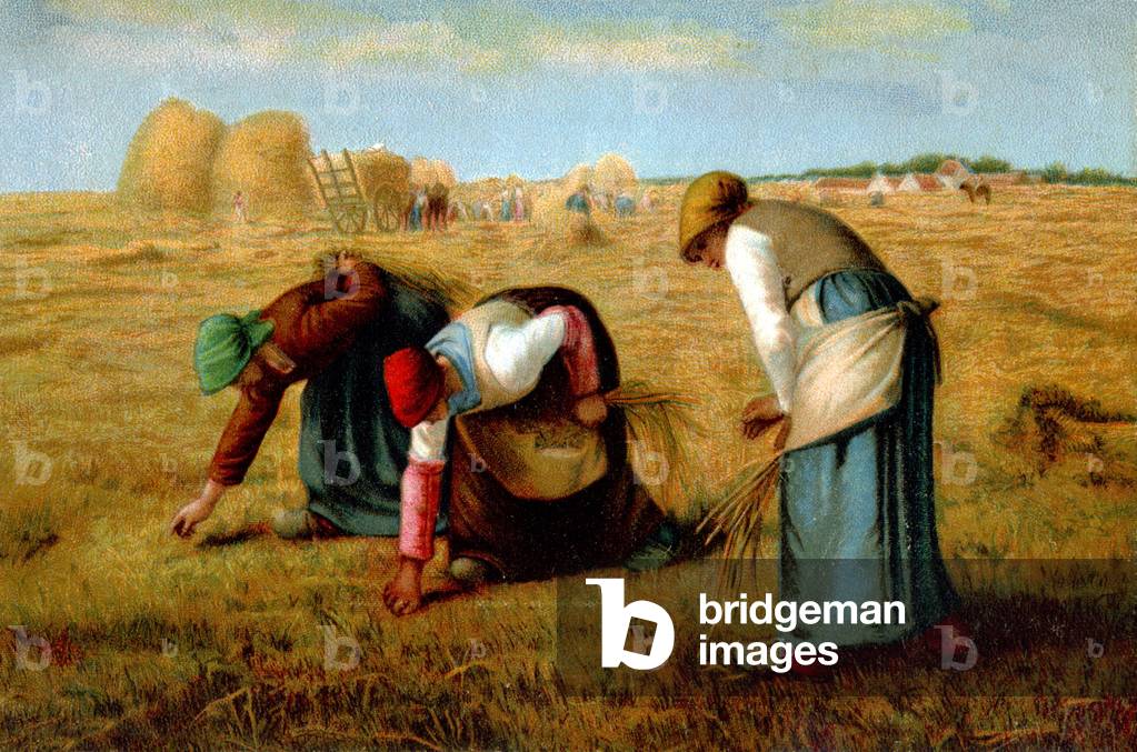 Harvesting, women working in the fields, c.1900 (illustration)
