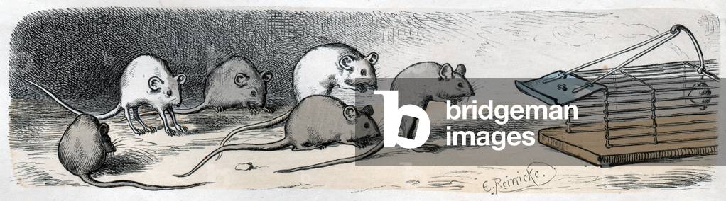 Science. Zoology. The mouses and the mouse trap (detail). Imagery 