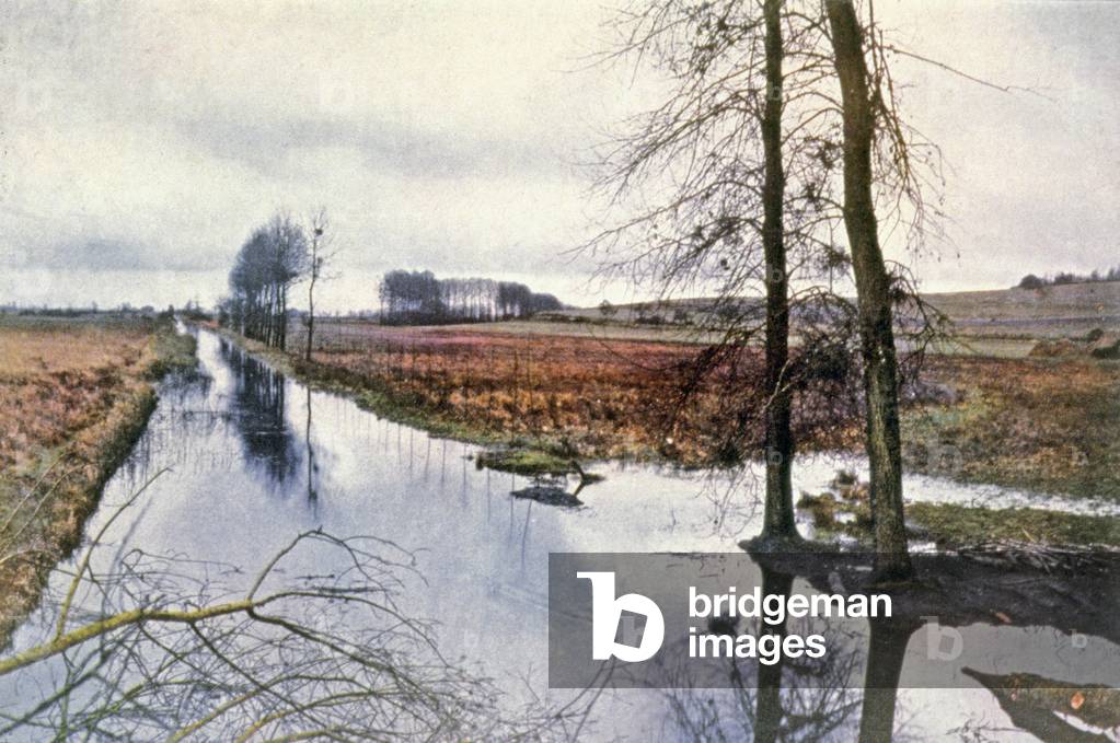 Battle of the Marne, marshes of Saint Gond, 1915 (photo)