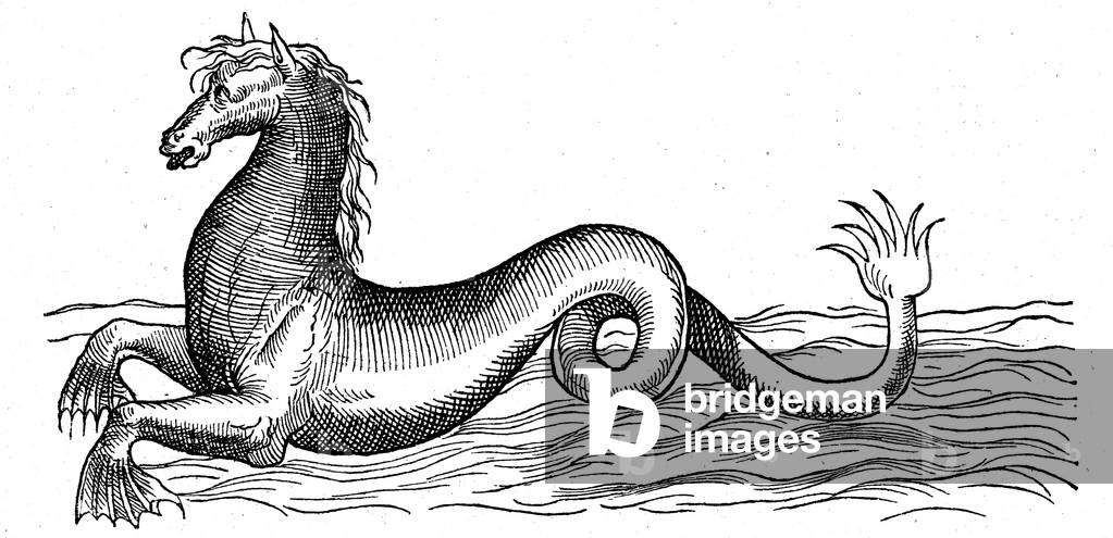 Sea monster, 1580 (engraving)