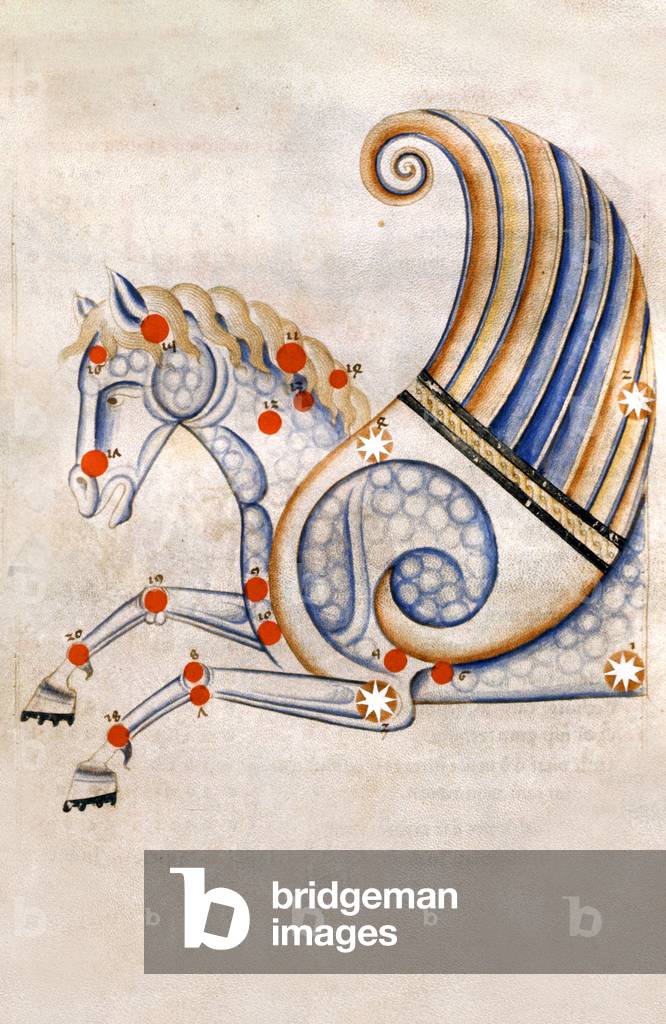 the constellation of Pegasus, late 13th century (miniature)