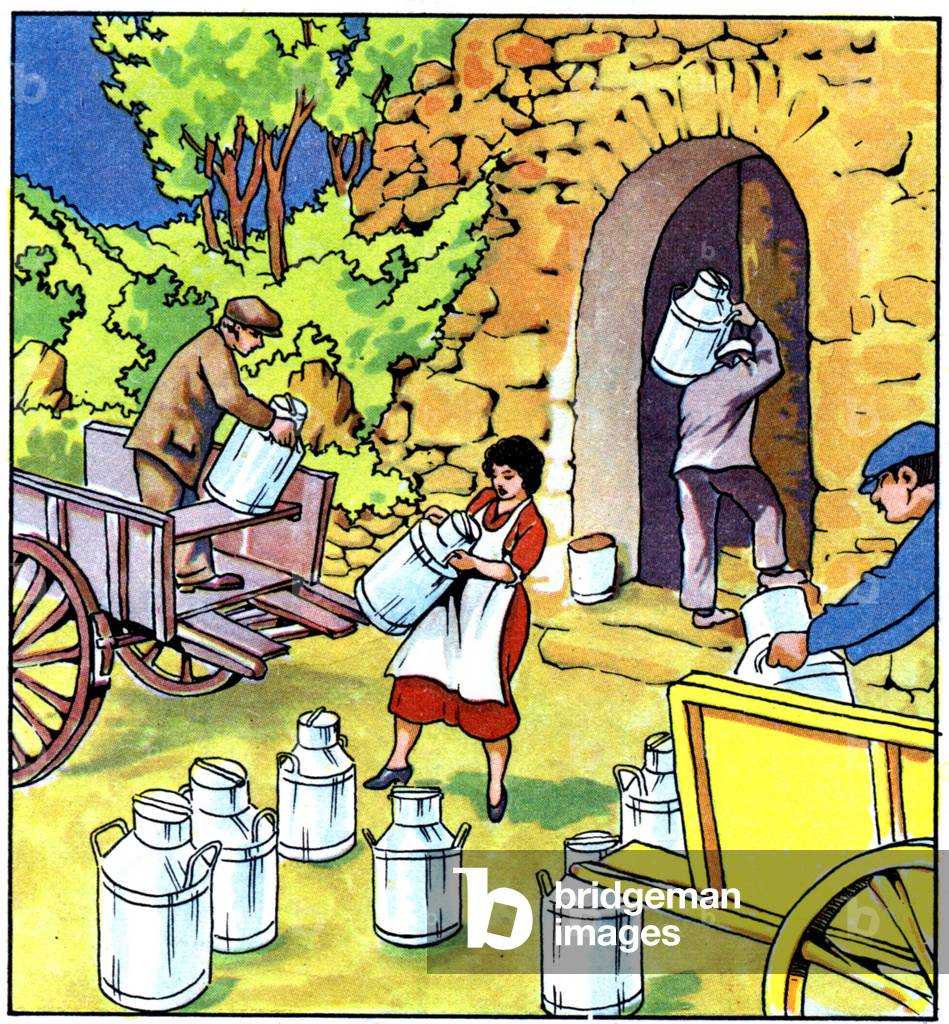 Milk production, c.1950 (illustration)