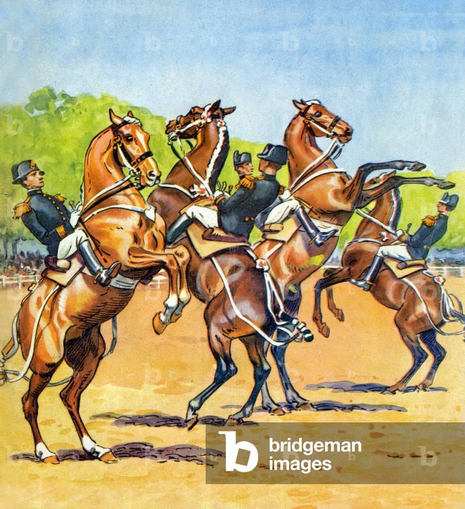 Saumur Black Frame, 1955 (illustration)