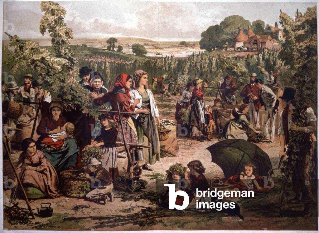 Hops picking in England, end of the 19th century (illustration)