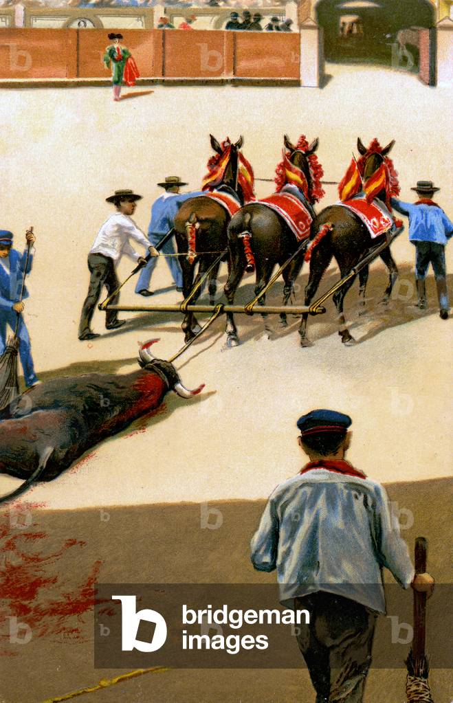 Sport. Bullfighting. The bull is dragged out by a couple af mules. Illustration, Germany, c.1920.