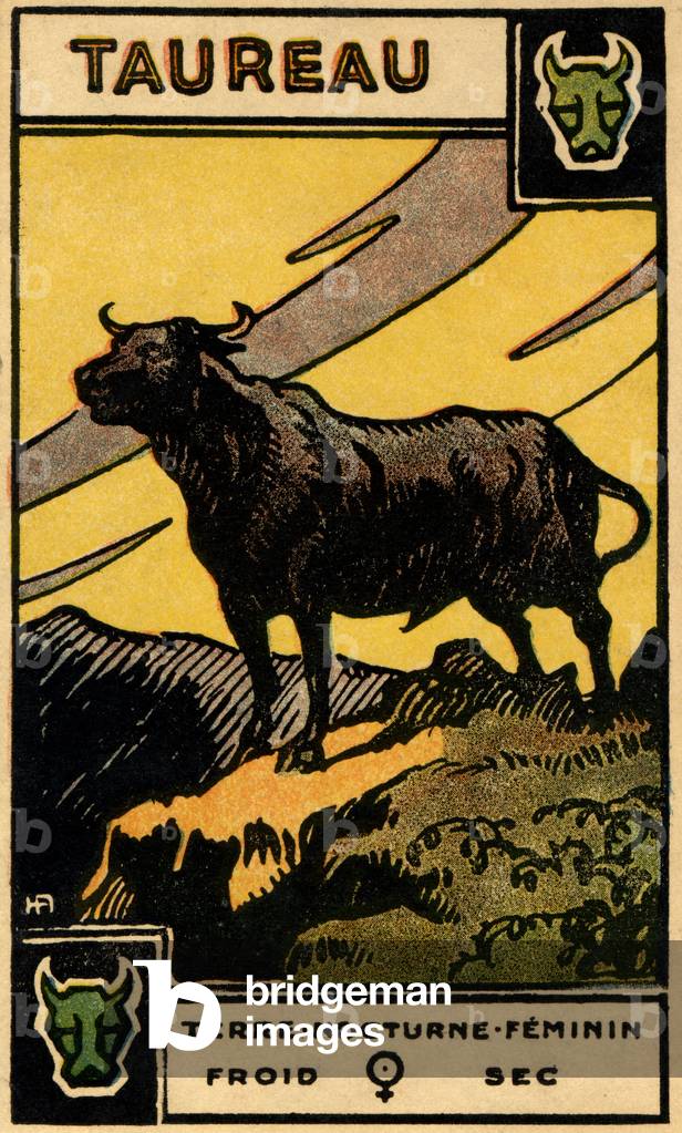 Taurus (the Bull), 1927 (print)