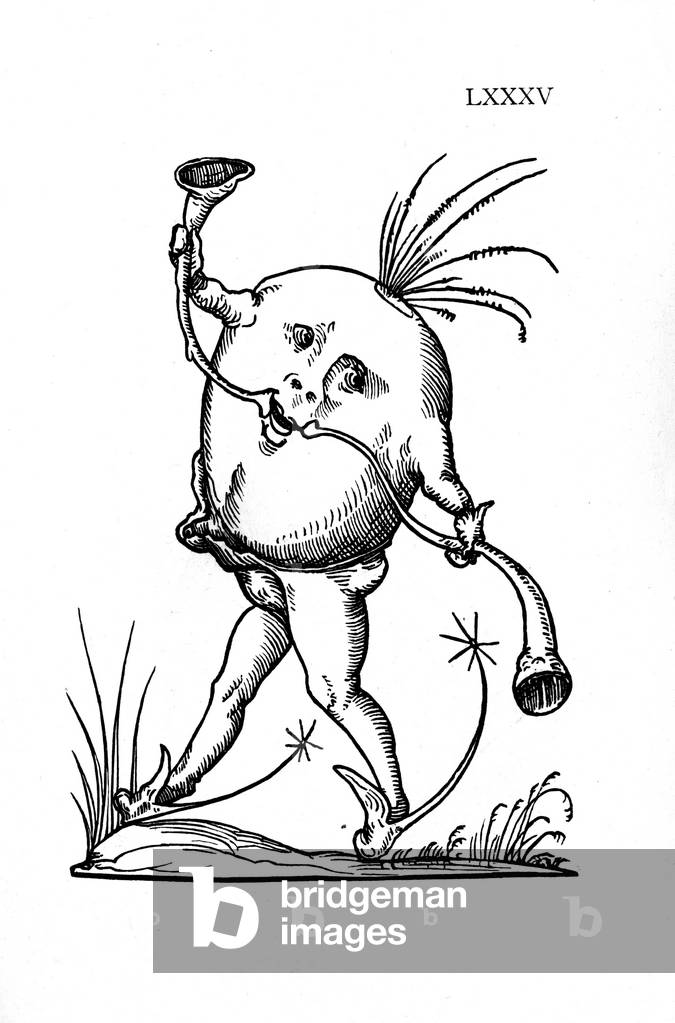 Monster, 19th century (engraving)