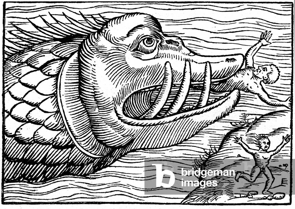 Hideous whale, 1550 (engraving)