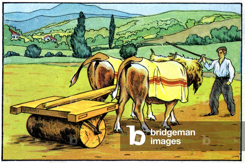 Field's work in the Basque country, c.1950 (illustration)
