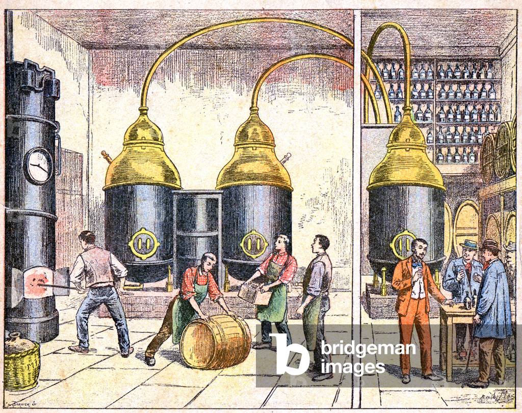 Inside a distillery, c.1890-1895 (illustration)