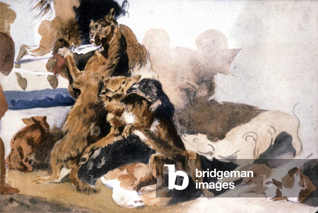 Wolves,  19th century (illustration)