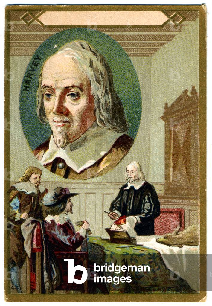 Medicine. The british physiologist William Harvey and the systemic circulation. Imagery, France, c.1900.