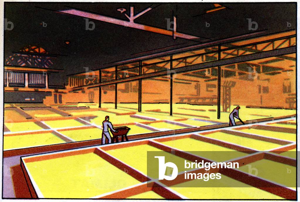 Soap factory, Marseilles, c.1950 (illustration)