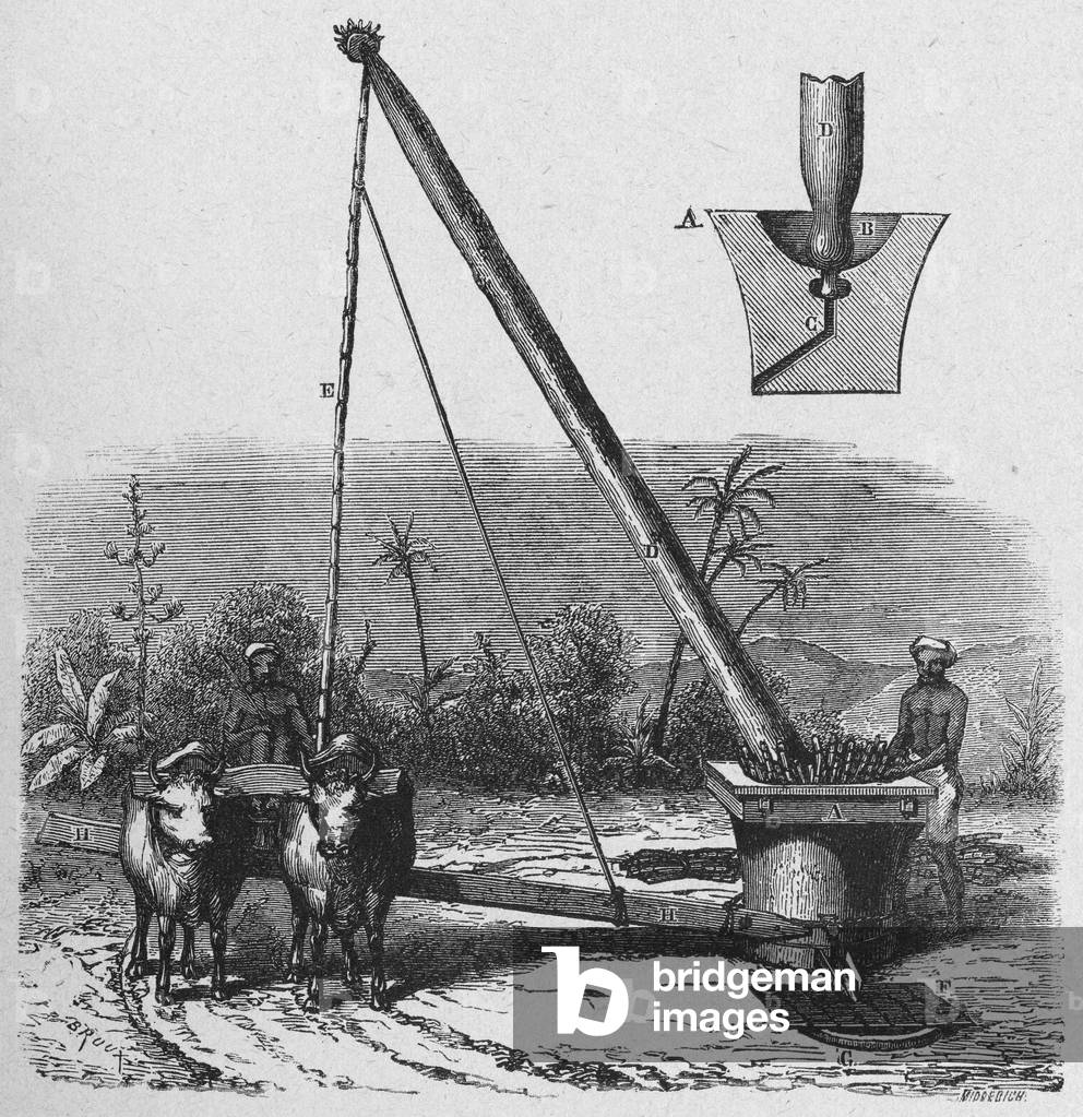 Mill for sugar cane in India, c. 1880 (engraving)