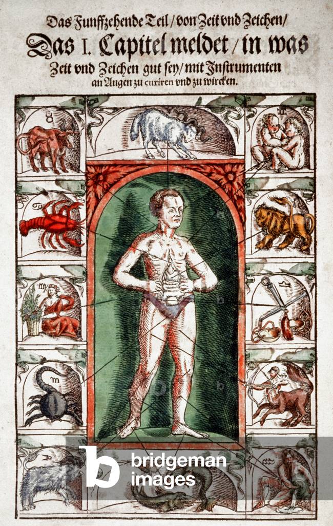 The astrological body. 1583 (severe wood)