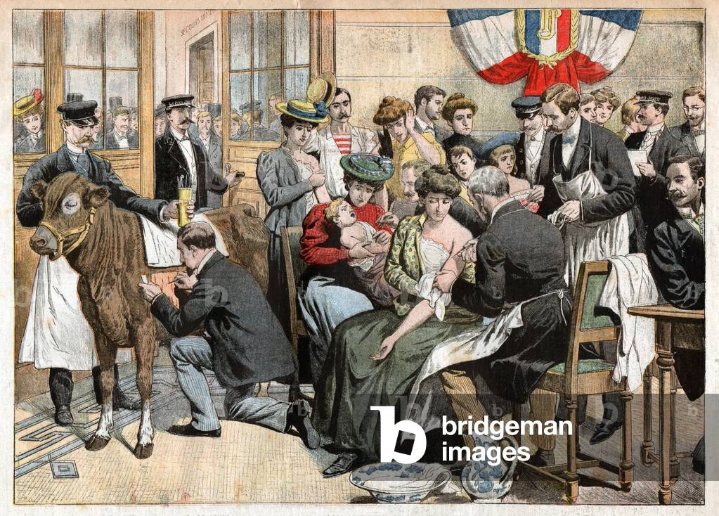 Vaccination, 1905 (print)