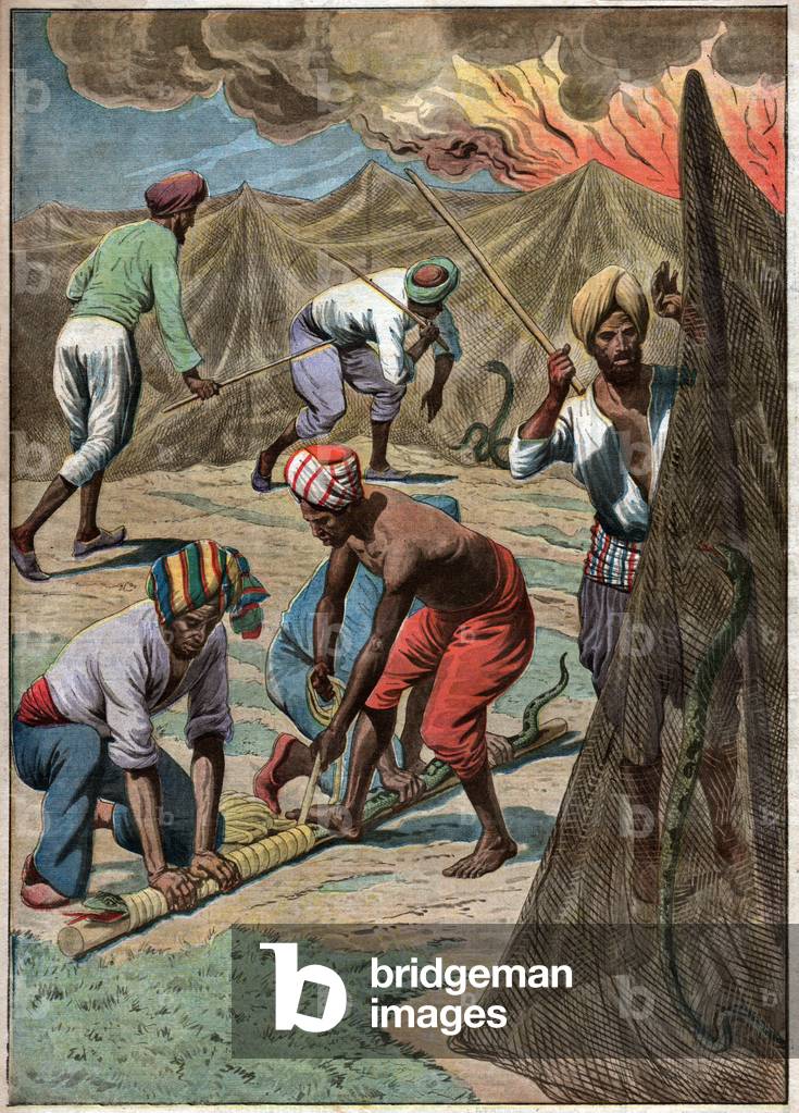 Snake farm in India, 1913 (print)