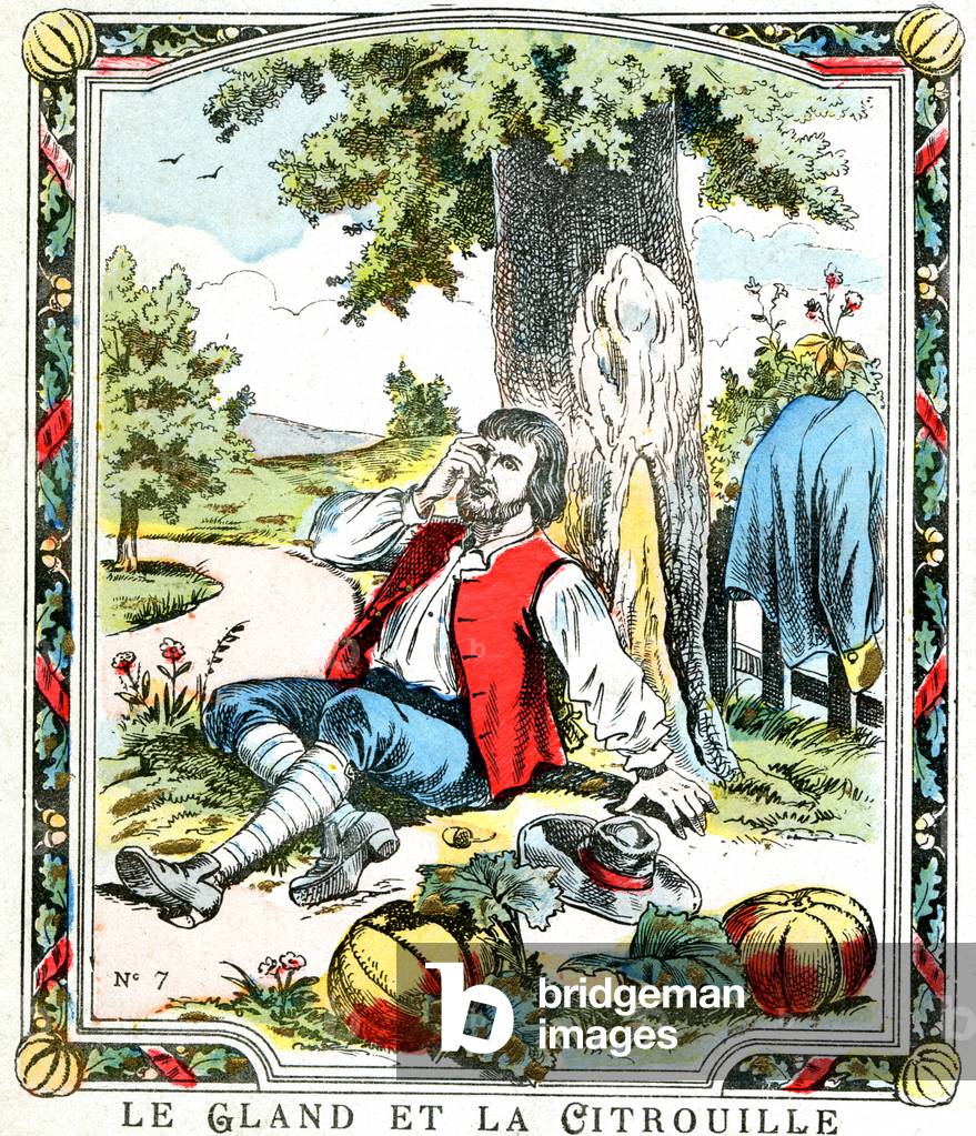 The acorn and the pumpkin, late 19th century (illustration)
