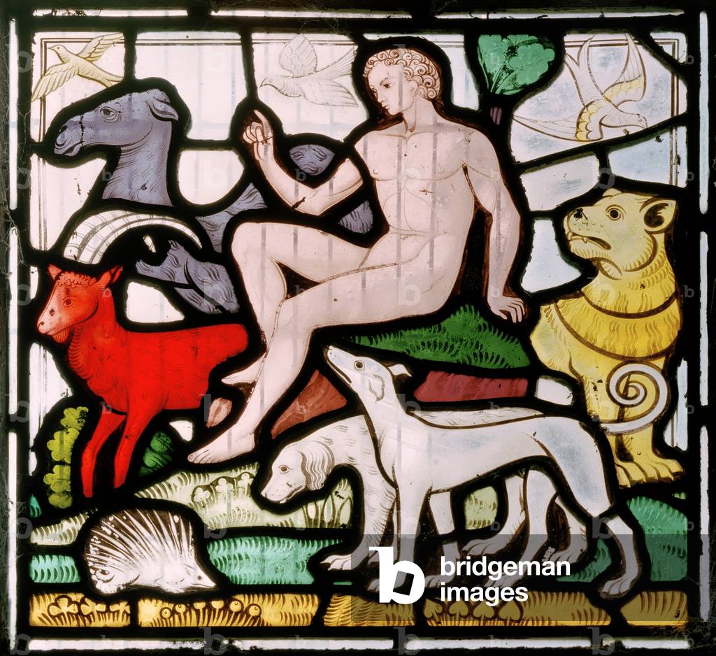 Daylesford, St Peter, Clayton & Bell, John Richard Clayton (1827-1913), Adam amongst the animals, Creation window, c.1860