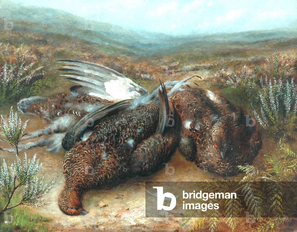 Dead Grouse in Landscape (oil on canvas)