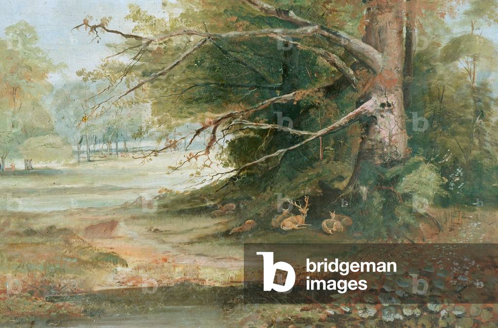 Deer in a Woodland Glade (oil on canvas)