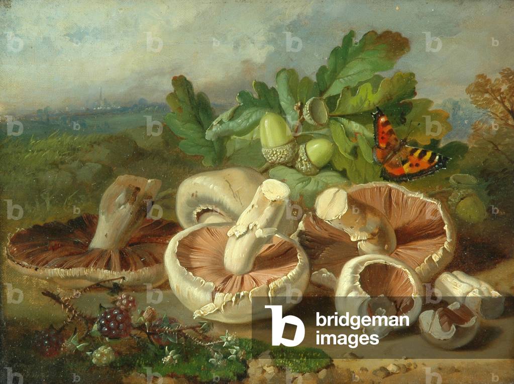 Still Life With Mushrooms Etc., 1859 (oil on canvas)