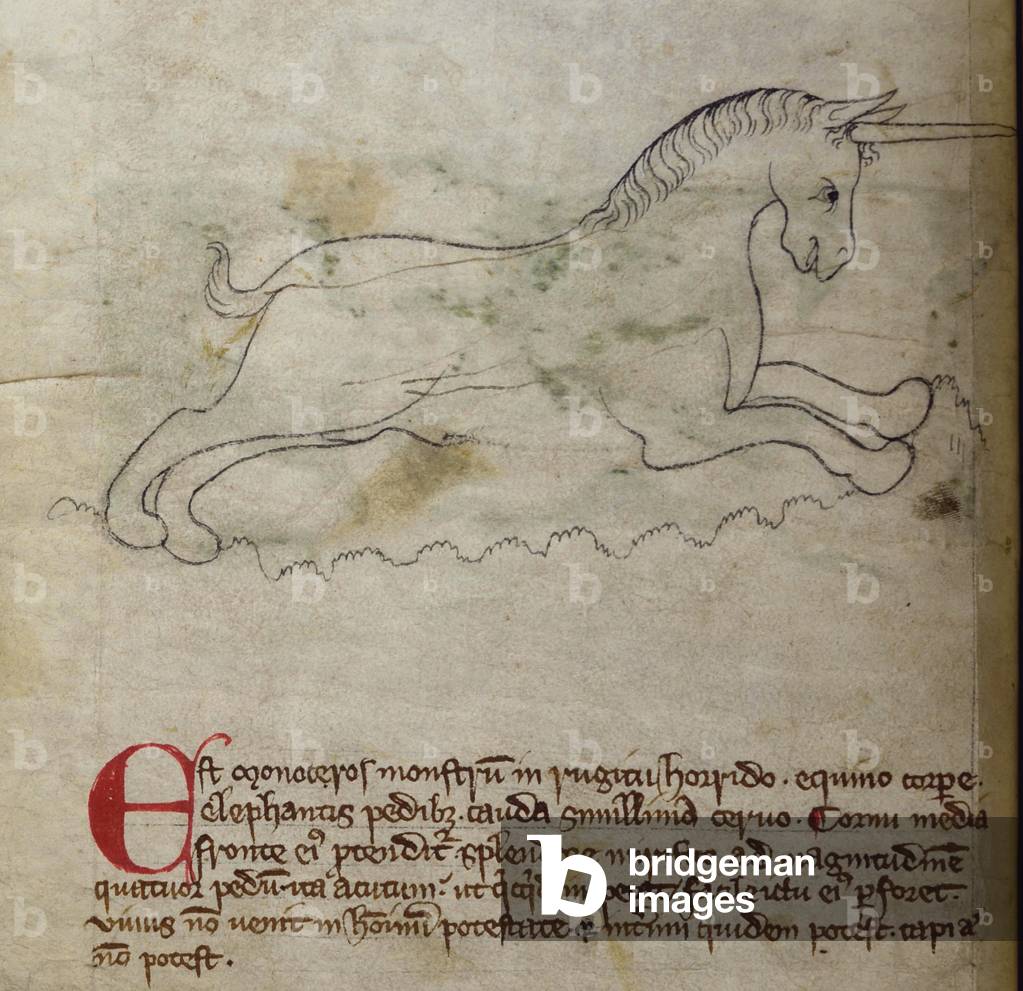 CCA-LitMs/D/10 fol. 2v Monoceros, from Bestiary (imperfect), early 14th century (parchment)
