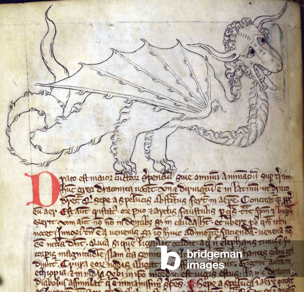 CCA-LitMs/D/10 fol. 24v Dragon, from Bestiary (imperfect), early 14th century (parchment)