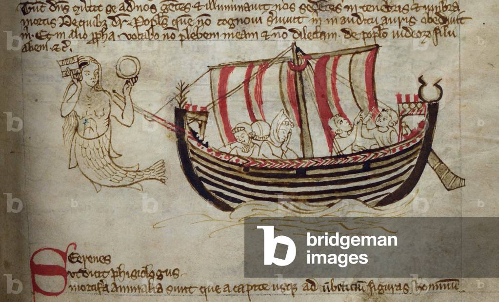 CCA-LitMs/D/10 fol. 18r Siren, from Bestiary (imperfect), early 14th century (parchment)