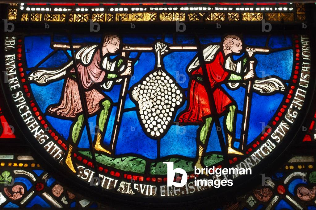 The Grapes of Eschol, Canterbury Cathedral (stained glass)