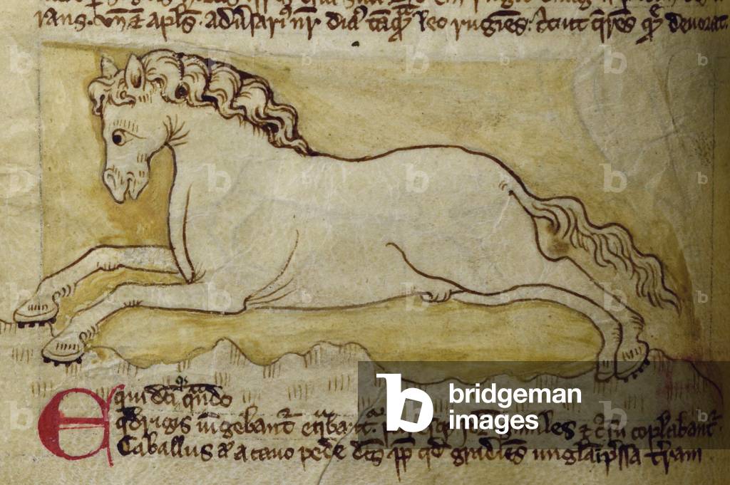 CCA-LitMs/D/10 fol. 10r Horse, from Bestiary (imperfect), early 14th century (parchment)