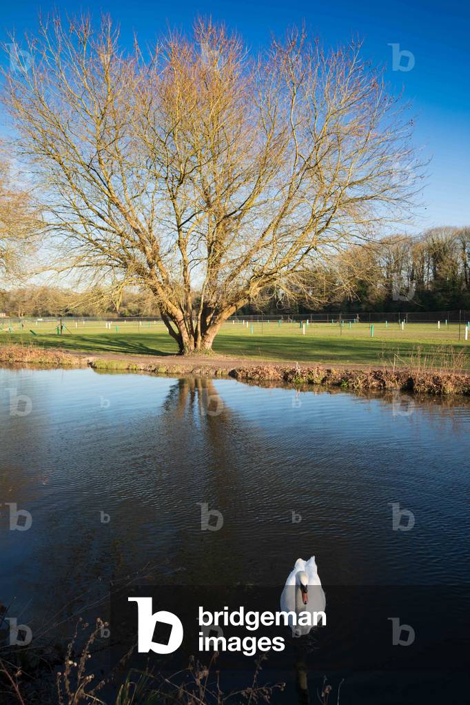 River scene, Itchen Navigation canal, Winchester, Hampshire, UK, April 2019 (photo)